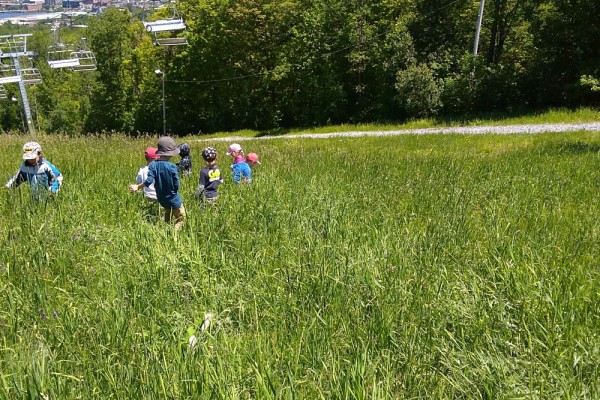 Le parc du Mont-Bellevue est, depuis 30&nbsp;ans, l&rsquo;un des terrains de jeux des tout-petits et toutes-petites du CPE.