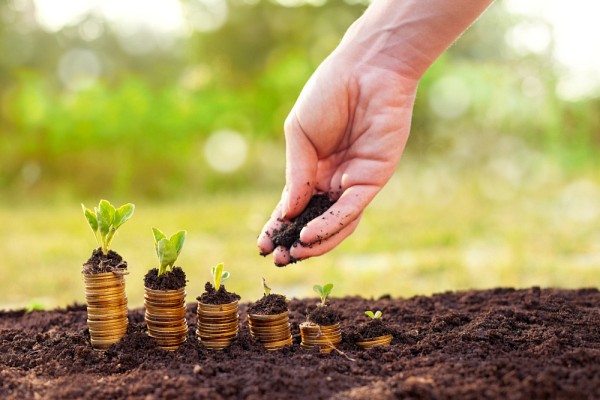 Le don planifi&eacute; fera l'objet d'une conf&eacute;rence anim&eacute;e par la&nbsp;Chaire en fiscalit&eacute; et en finances publiques de l&rsquo;UdeS.