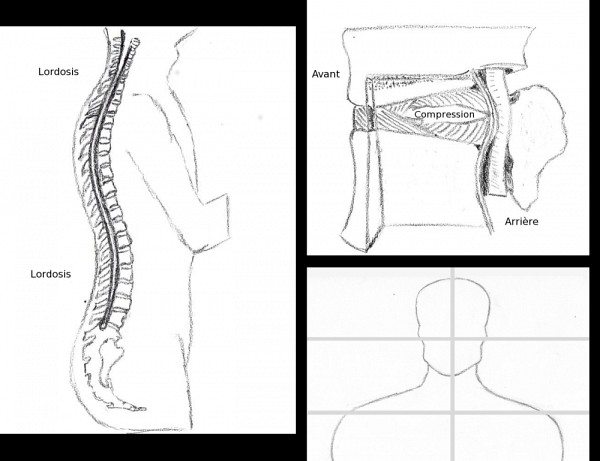 Respect des axes et alignement de diff&eacute;rents &eacute;l&eacute;ments structuraux importants.
