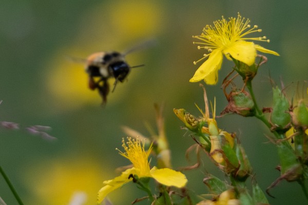 En mati&egrave;re d'enjeux climatiques, plus les gens sont inform&eacute;s, plus ils seront enclins &agrave; se mobiliser.