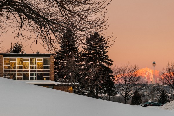 Toujours verts, les sapins symbolisent la r&eacute;silience et l'espoir de voir &agrave; nouveau la nature revenir apr&egrave;s les longs mois d'hiver.&nbsp;