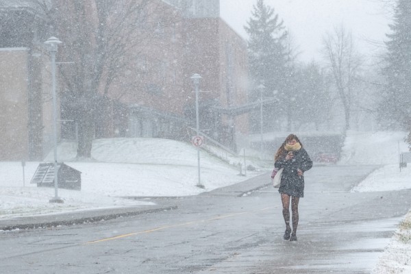 L'analyse r&eacute;v&egrave;le que les femmes sont fortement expos&eacute;es &agrave; des risques de harc&egrave;lement dans la rue, une situation qui complique leurs d&eacute;placements.