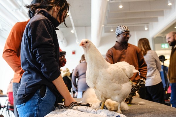 Le 23 avril dernier, le Village UdeS a organis&eacute; une activit&eacute; de zoo-animation pour offrir un peu de douceur en fin de trimestre.