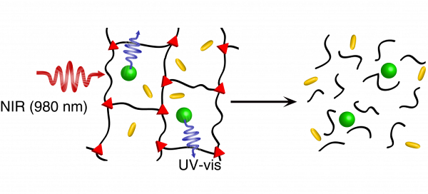 La nanoparticule de lanthanide (en vert) absorbe le rayon infrarouge (en rouge). Elle &eacute;met ensuite un rayon ultraviolet (en mauve). L&rsquo;ultraviolet frappe le nanoporteur (en noir), qui s&rsquo;ouvre et lib&egrave;re le m&eacute;dicament (en jaune).