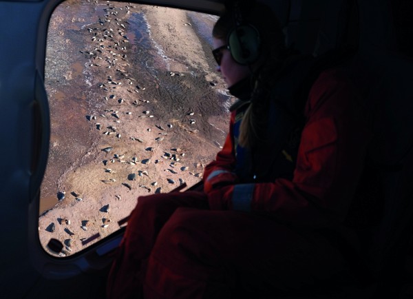Th&eacute;o Garnier, doctorant en biologie, a obtenu sa place de finaliste gr&acirc;ce &agrave; son image&nbsp;Fen&ecirc;tre sur le Saint-Laurent en mutation.