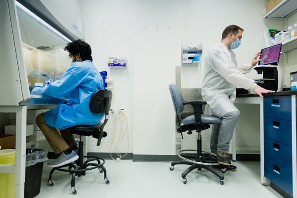 Les organo&iuml;des des professeurs Laurent et Lauzon sont fabriqu&eacute;s &agrave; partir de cellules souches d&eacute;riv&eacute;es de cellules de la peau, du sang ou de l&rsquo;urine, l'origine embryonnaire des cellules souches ayant &eacute;t&eacute; remplac&eacute;e par des solutions plus &eacute;thiques. Photo : Mathieu Lanthier - UdeS