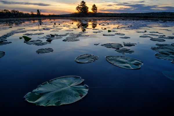 Le professeur Yannick Huot entend bien poursuivre ses recherches en documentant la sant&eacute; des lacs de l'Estrie.