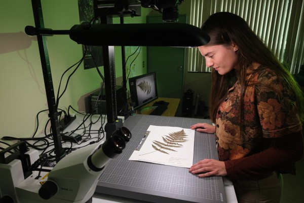 Une collaboration interdisciplinaire entre l'informatique, la biologie v&eacute;g&eacute;tale et l'&eacute;cologie permettra de num&eacute;riser la collection et de concevoir une base de donn&eacute;es.