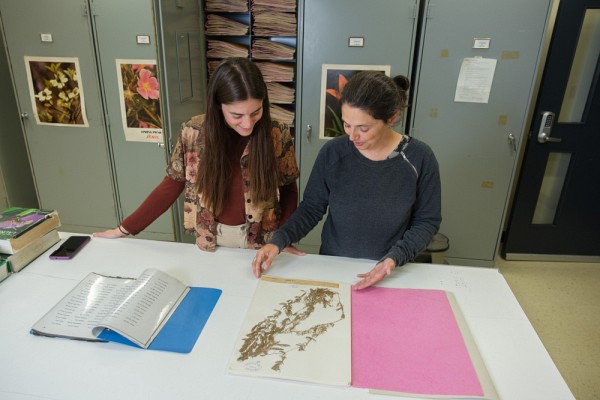 Il est aussi possible de pr&eacute;senter&nbsp;une demande d&rsquo;aide aupr&egrave;s de l'&eacute;quipe de l'herbier pour l&rsquo;identification de plantes.
