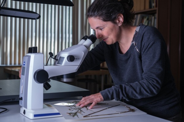 La botanique constitue un apport inestimable pour la protection de la biodiversit&eacute; et des &eacute;cosyst&egrave;mes.