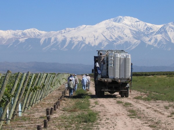 Vignoble&nbsp;Soluna Wines, Argentine