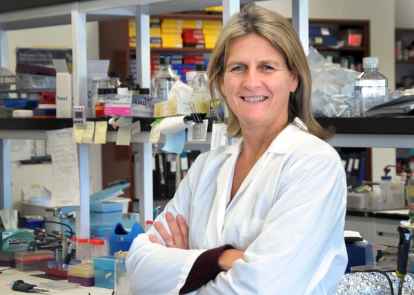 Professeure Nathalie Rivard, vice-doyenne aux &eacute;tudes sup&eacute;rieures, &agrave; la recherche et &agrave; l&rsquo;innovation de la FMSS.