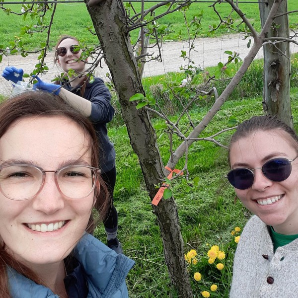 L'autrice de cet article, Sophie Boutin (&eacute;tudiante au doctorat en biologie), en compagnie de ses coll&egrave;gues Ema Lussier (assistante de recherche) et Ga&euml;le Lajeunesse (charg&eacute;e de cours et &eacute;tudiante au doctorat en biologie).