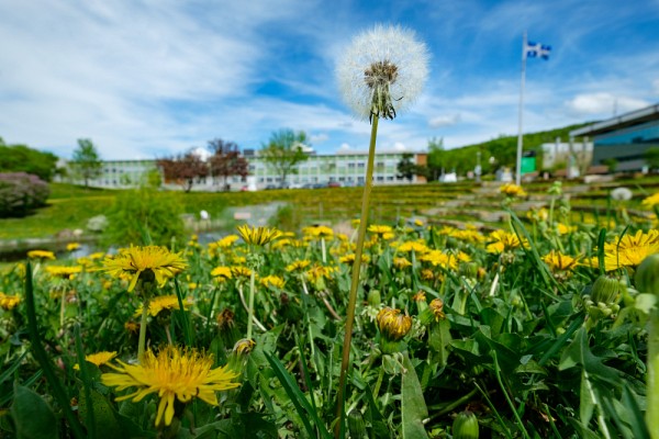 L'am&eacute;nagement des espaces verts se fait en respect de la protection de la biodiversit&eacute; sur les campus.
