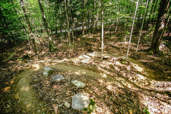 Dans le cadre du projet de r&eacute;serve, de nombreux sentiers ont &eacute;t&eacute; revus et r&eacute;am&eacute;nag&eacute;s.