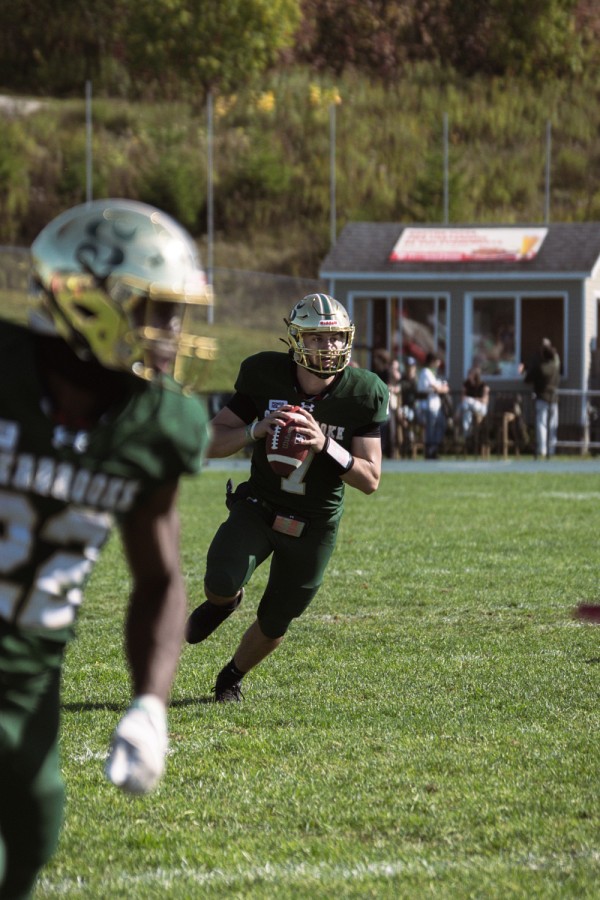 Le quart-arri&egrave;re J&eacute;r&eacute;my Fyfe a compl&eacute;t&eacute; 19 passes sur 25 tentatives pour un total de 278 verges et 2 passes de touch&eacute;.