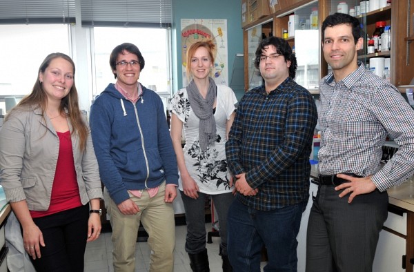 Les auteurs de l'article publi&eacute; dans Diabetes: Farah Lizotte, Benoit Denhez, Andr&eacute;anne Guay, Martin Par&eacute; et Pr Pedro Miguel Geraldes.