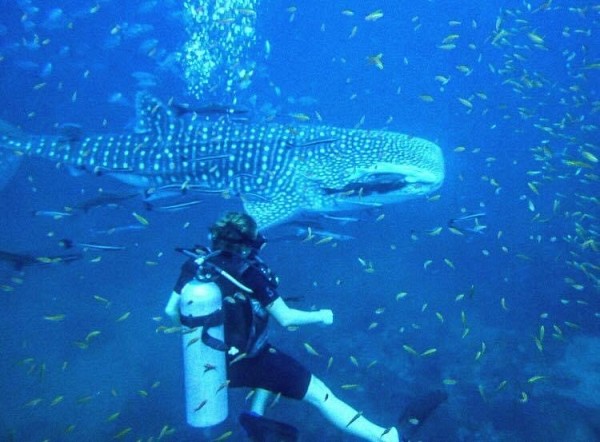 C'est une exp&eacute;rience comme guide de plong&eacute;e sous-marine en Tha&iuml;lande qui a allum&eacute; son &eacute;tincelle pour la biologie marine. 