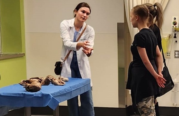 Un atelier sur des organes plastifi&eacute;s a permis aux &eacute;l&egrave;ves de s&rsquo;initier &agrave; l&rsquo;anatomie humaine.